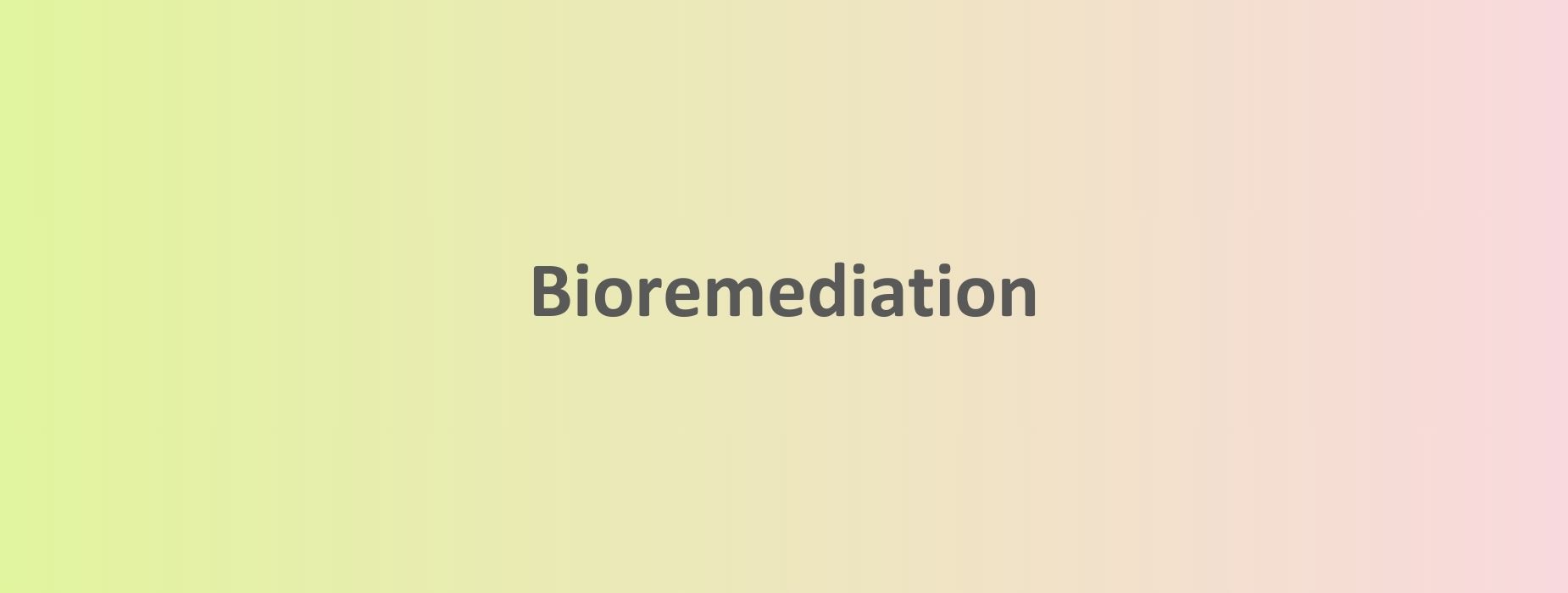 Bioremediation - SustainoMetric, ESG Data Solutions Provider